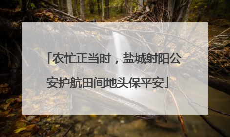 农忙正当时，盐城射阳公安护航田间地头保平安