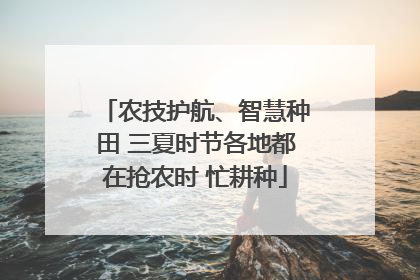 农技护航、智慧种田 三夏时节各地都在抢农时 忙耕种
