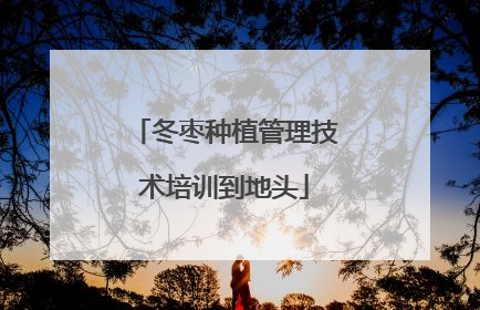 冬枣种植管理技术培训到地头