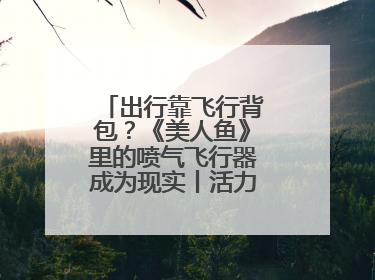 出行靠飞行背包？《美人鱼》里的喷气飞行器成为现实丨活力中国调研行