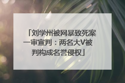 刘学州被网暴致死案一审宣判：两名大V被判构成名誉侵权