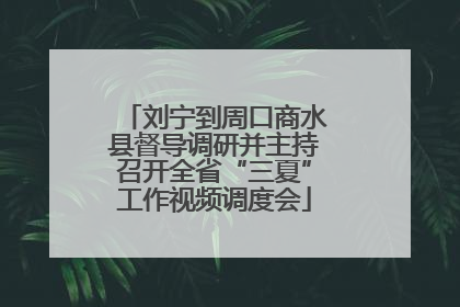 刘宁到周口商水县督导调研并主持召开全省“三夏”工作视频调度会