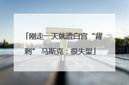 刚走一天就遭白宫“背刺” 马斯克：很失望