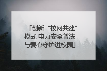 创新“校网共建”模式 电力安全普法与爱心守护进校园