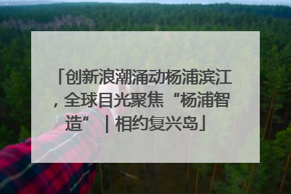 创新浪潮涌动杨浦滨江，全球目光聚焦“杨浦智造”｜相约复兴岛
