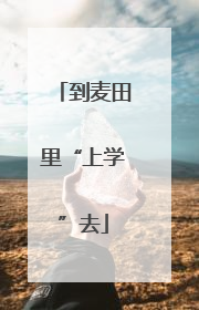 到麦田里“上学”去