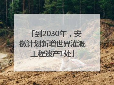到2030年，安徽计划新增世界灌溉工程遗产1处