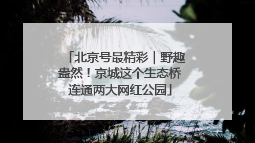 北京号最精彩｜野趣盎然！京城这个生态桥连通两大网红公园