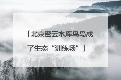 北京密云水库鸟岛成了生态“训练场”