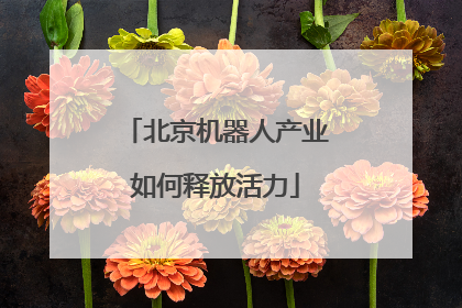 北京机器人产业如何释放活力