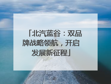 北汽蓝谷：双品牌战略领航，开启发展新征程