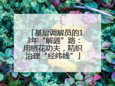 基层调解员的13年“解题”路：用绣花功夫，精织治理“经纬线”
