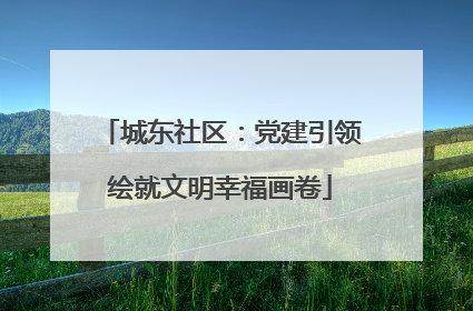 城东社区：党建引领绘就文明幸福画卷