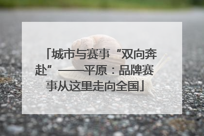 城市与赛事“双向奔赴”——平原：品牌赛事从这里走向全国
