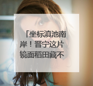 坐标滇池南岸！晋宁这片镜面稻田藏不住了——有一种叫云南的生活之365天