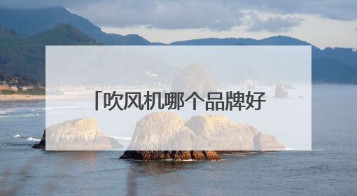 吹风机哪个品牌好用？揭秘数万网友力荐的10大品牌！
