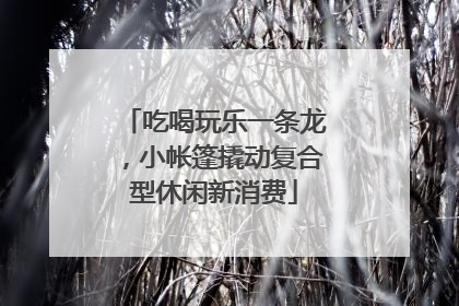 吃喝玩乐一条龙，小帐篷撬动复合型休闲新消费