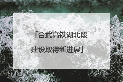 合武高铁湖北段建设取得新进展