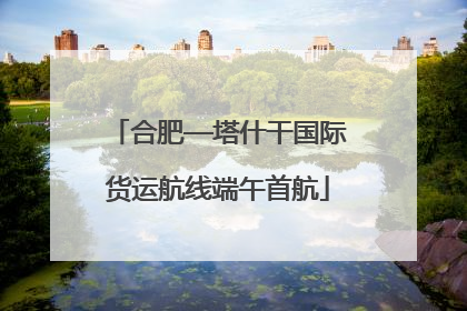 合肥—塔什干国际货运航线端午首航