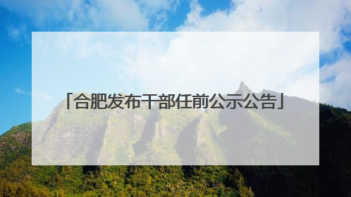 合肥发布干部任前公示公告