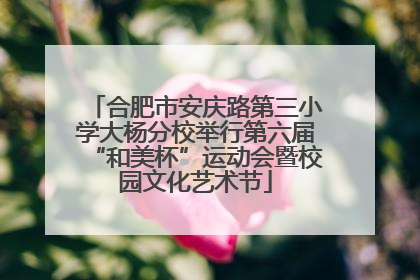 合肥市安庆路第三小学大杨分校举行第六届“和美杯”运动会暨校园文化艺术节