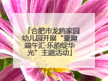 合肥市龙腾家园幼儿园开展“童趣端午汇·乐韵绽华光”主题活动