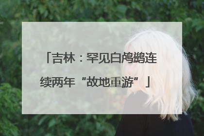 吉林：罕见白鸬鹚连续两年“故地重游”