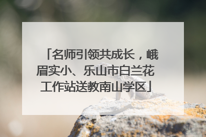 名师引领共成长，峨眉实小、乐山市白兰花工作站送教南山学区