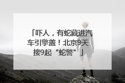 吓人，有蛇藏进汽车引擎盖！北京9天接9起“蛇警”