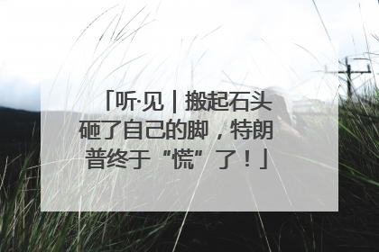 听·见｜搬起石头砸了自己的脚，特朗普终于“慌”了！