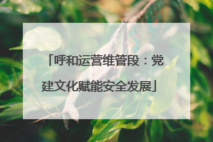 呼和运营维管段：党建文化赋能安全发展