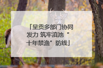 呈贡多部门协同发力 筑牢滇池“十年禁渔”防线