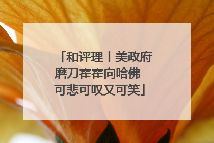 和评理丨美政府磨刀霍霍向哈佛 可悲可叹又可笑