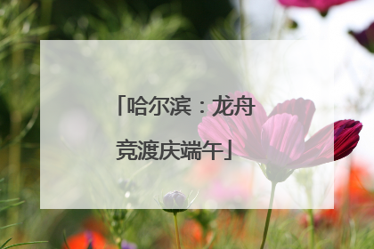 哈尔滨：龙舟竞渡庆端午