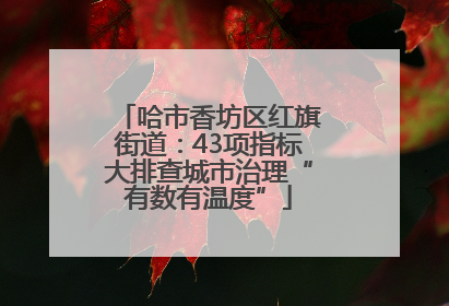 哈市香坊区红旗街道：43项指标大排查城市治理“有数有温度”