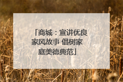 商城：宣讲优良家风故事 倡树家庭美德典范