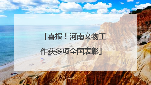 喜报！河南文物工作获多项全国表彰