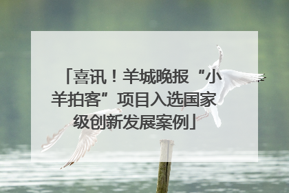 喜讯！羊城晚报“小羊拍客”项目入选国家级创新发展案例