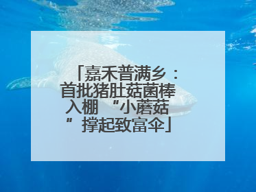 嘉禾普满乡：首批猪肚菇菌棒入棚 “小蘑菇”撑起致富伞