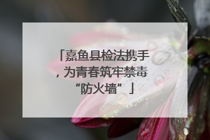 嘉鱼县检法携手，为青春筑牢禁毒“防火墙”