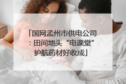 国网孟州市供电公司：田间地头“电课堂”  护航药材好收成