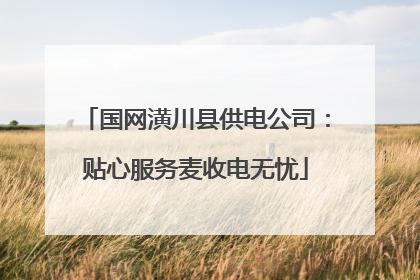 国网潢川县供电公司：贴心服务麦收电无忧