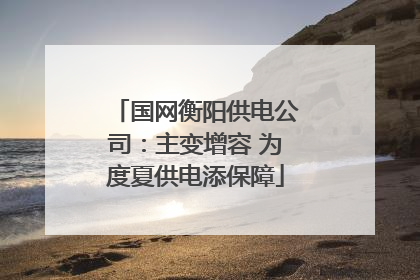 国网衡阳供电公司：主变增容 为度夏供电添保障