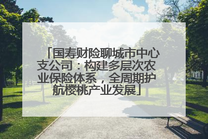 国寿财险聊城市中心支公司：构建多层次农业保险体系，全周期护航樱桃产业发展