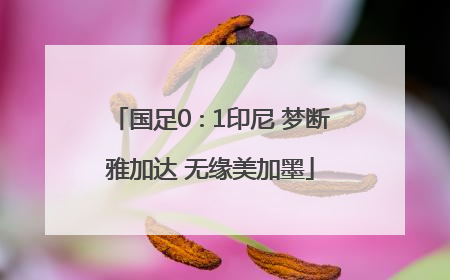 国足0∶1印尼 梦断雅加达 无缘美加墨