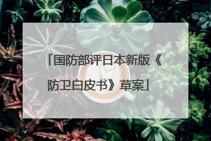 国防部评日本新版《防卫白皮书》草案