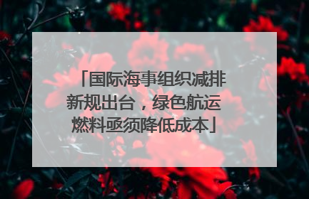 国际海事组织减排新规出台，绿色航运燃料亟须降低成本