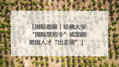 国际观察｜哈佛大学“国际禁招令”或加剧美国人才“出走潮”