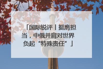 国际锐评丨挺膺担当，中俄并肩对世界负起“特殊责任”