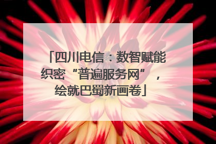 四川电信：数智赋能织密“普遍服务网”，绘就巴蜀新画卷